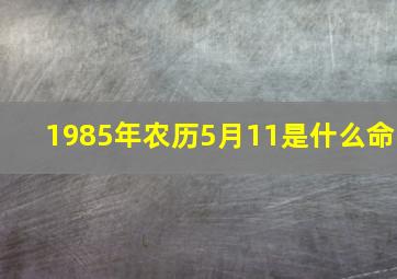 1985年农历5月11是什么命