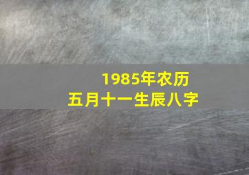 1985年农历五月十一生辰八字