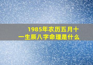 1985年农历五月十一生辰八字命理是什么