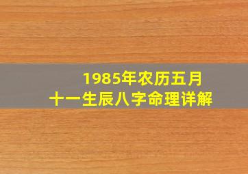 1985年农历五月十一生辰八字命理详解