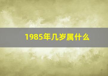 1985年几岁属什么