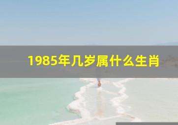 1985年几岁属什么生肖