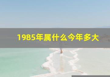 1985年属什么今年多大