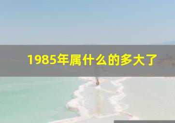 1985年属什么的多大了