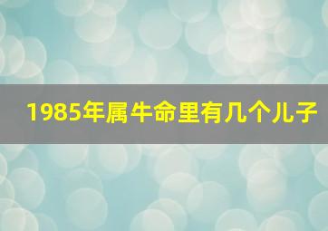 1985年属牛命里有几个儿子