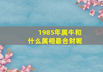 1985年属牛和什么属相最合财呢