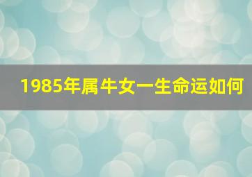 1985年属牛女一生命运如何