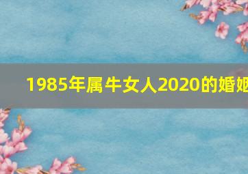 1985年属牛女人2020的婚姻