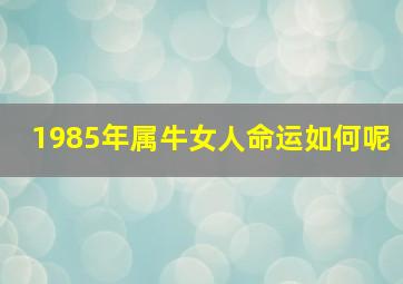 1985年属牛女人命运如何呢