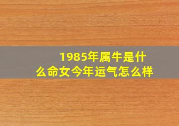 1985年属牛是什么命女今年运气怎么样