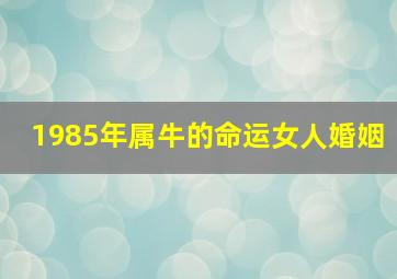 1985年属牛的命运女人婚姻