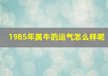 1985年属牛的运气怎么样呢