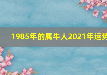 1985年的属牛人2021年运势