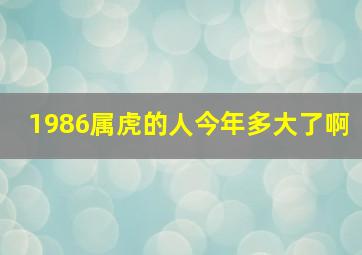 1986属虎的人今年多大了啊