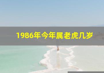 1986年今年属老虎几岁