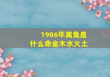 1986年属兔是什么命金木水火土