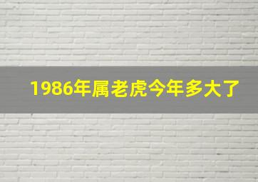 1986年属老虎今年多大了