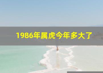 1986年属虎今年多大了