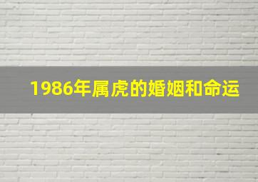 1986年属虎的婚姻和命运