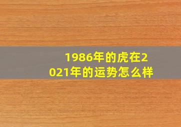 1986年的虎在2021年的运势怎么样