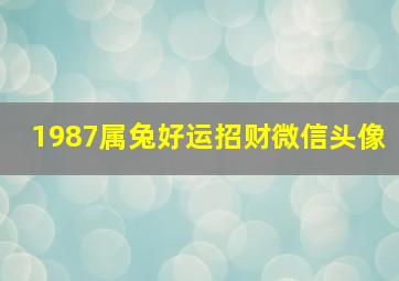 1987属兔好运招财微信头像