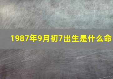 1987年9月初7出生是什么命