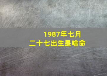 1987年七月二十七出生是啥命