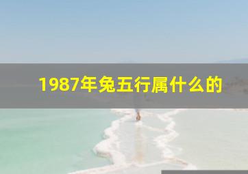 1987年兔五行属什么的