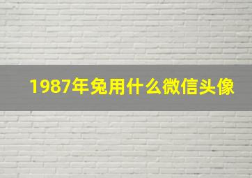 1987年兔用什么微信头像