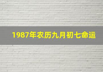 1987年农历九月初七命运