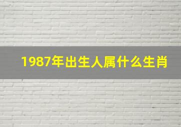 1987年出生人属什么生肖