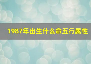 1987年出生什么命五行属性