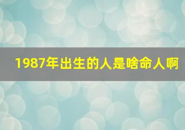 1987年出生的人是啥命人啊