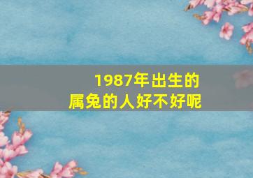 1987年出生的属兔的人好不好呢