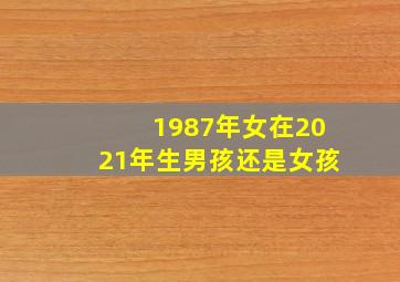 1987年女在2021年生男孩还是女孩