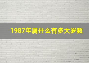 1987年属什么有多大岁数