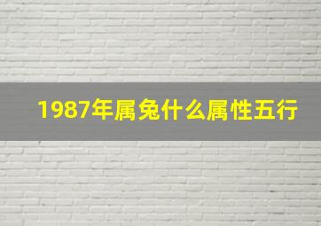 1987年属兔什么属性五行