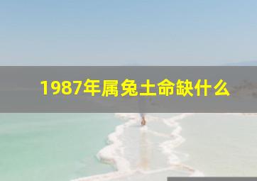 1987年属兔土命缺什么