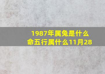 1987年属兔是什么命五行属什么11月28