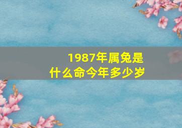 1987年属兔是什么命今年多少岁