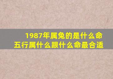 1987年属兔的是什么命五行属什么跟什么命最合适