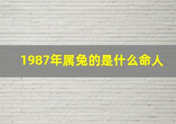 1987年属兔的是什么命人