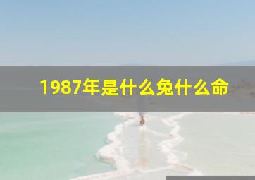 1987年是什么兔什么命