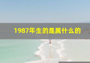 1987年生的是属什么的