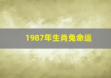 1987年生肖兔命运