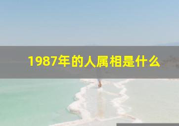 1987年的人属相是什么