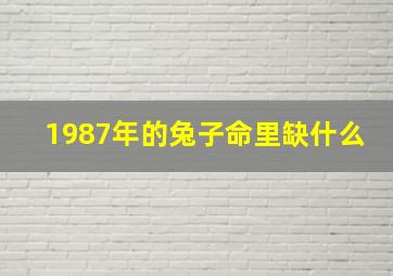 1987年的兔子命里缺什么