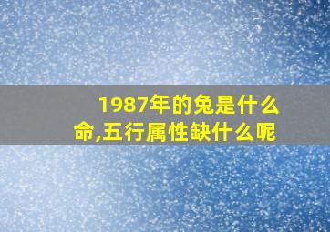 1987年的兔是什么命,五行属性缺什么呢