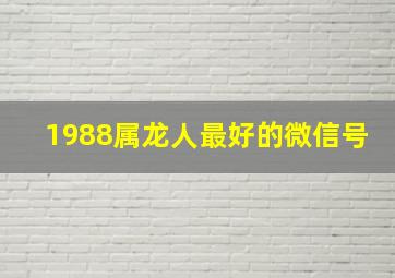 1988属龙人最好的微信号