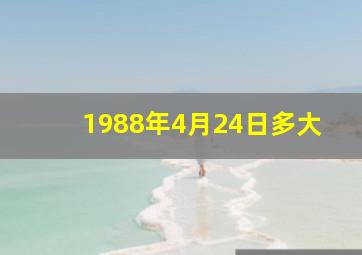 1988年4月24日多大